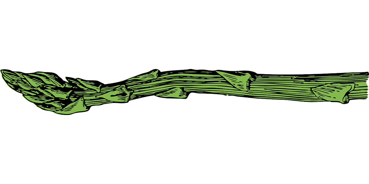 How Glutathione Is Continuing to Surprise Us | by David Schmidt LifeWave | Medium How Glutathione Is Continuing to Surprise Us | by David Schmidt LifeWave | Medium