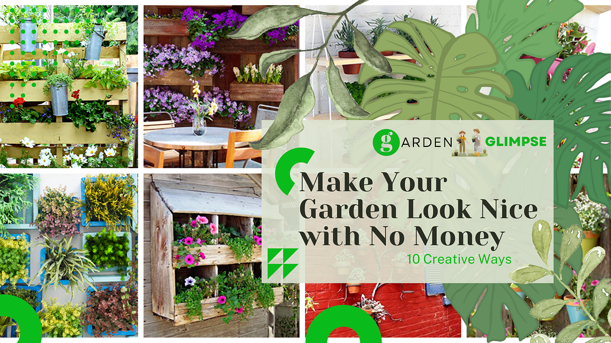10 Creative Ways to Make Your Garden Look Nice with No Money Medium