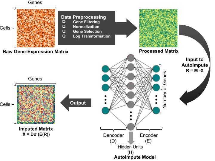 A thorough analysis of AutoImpute: Autoencoder based imputation of ...