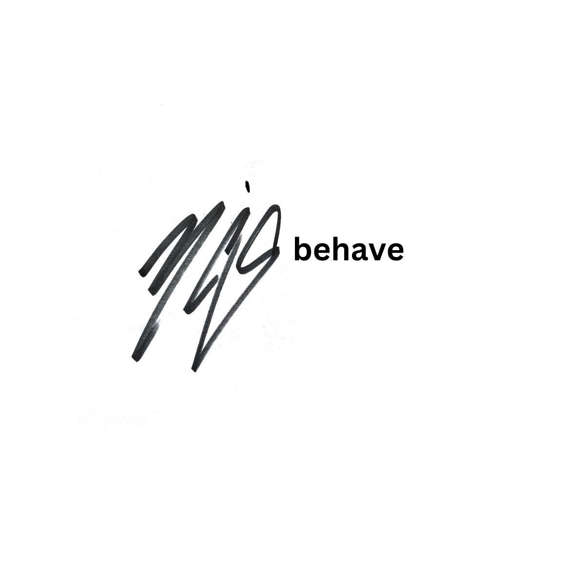Art Of Misbehaving If Behave Is Not The Best Option By 
