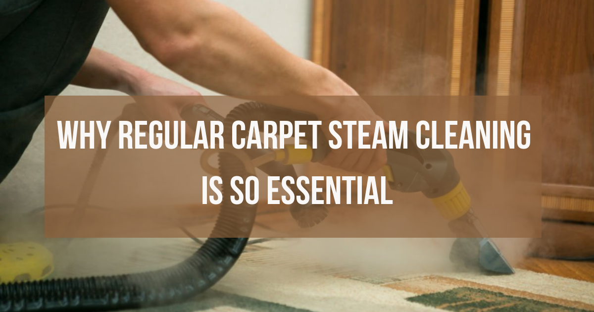 Top 5 reasons why regular carpet steam cleaning is so essential for