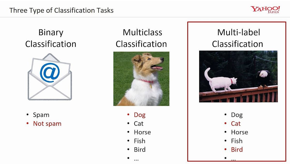 Multi-Label Image Classification using CNN (python) | by ...