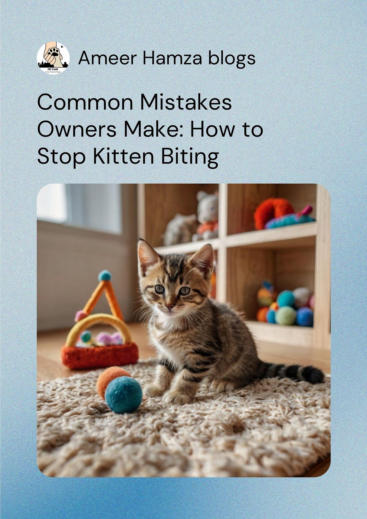 How to stop kitten biting and scratching habit - Ameer Hamza blogs - Medium