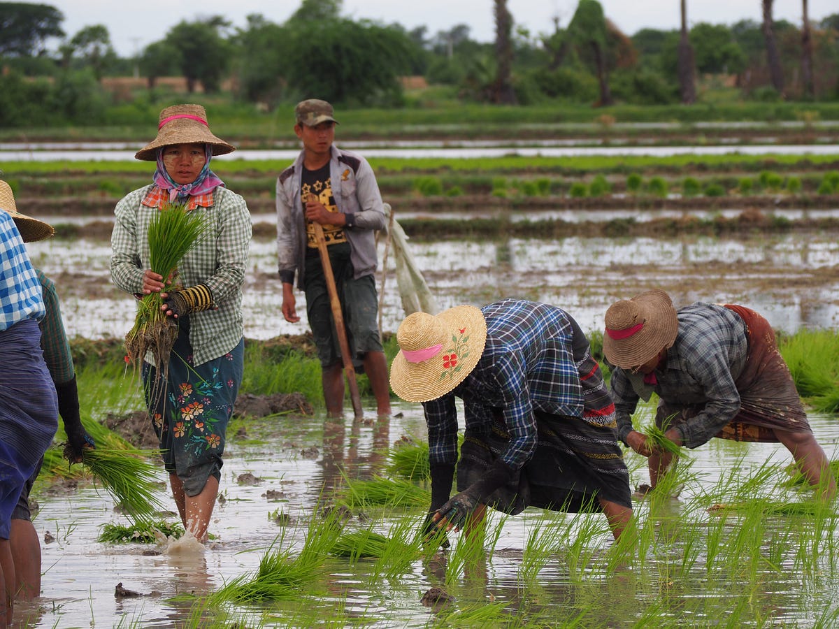 The Story of The Chinese Farmer. When bad things happen try this | by  Anthony Taylor | Medium