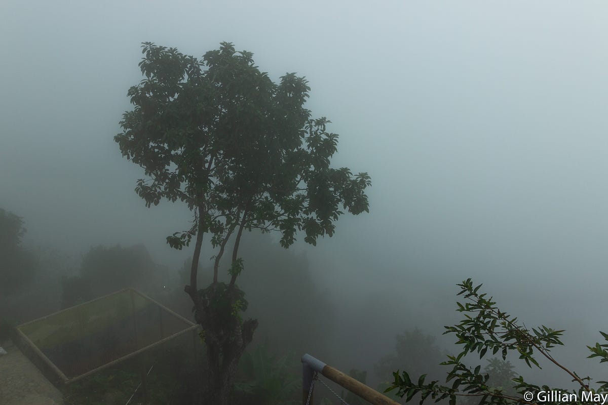 How to Capture Magical Fog Photos on a DSLR Camera by Gillian May The Narrative Medium