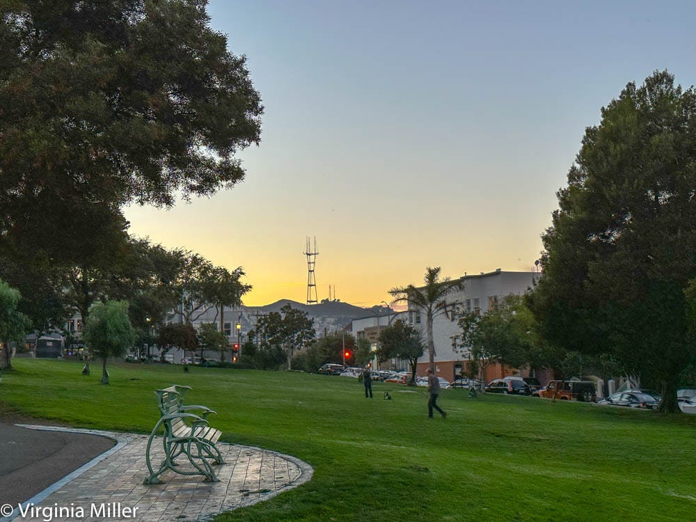 Two-Year-Old Neighborhood Michelin Revamped on Precita Park: Marlena