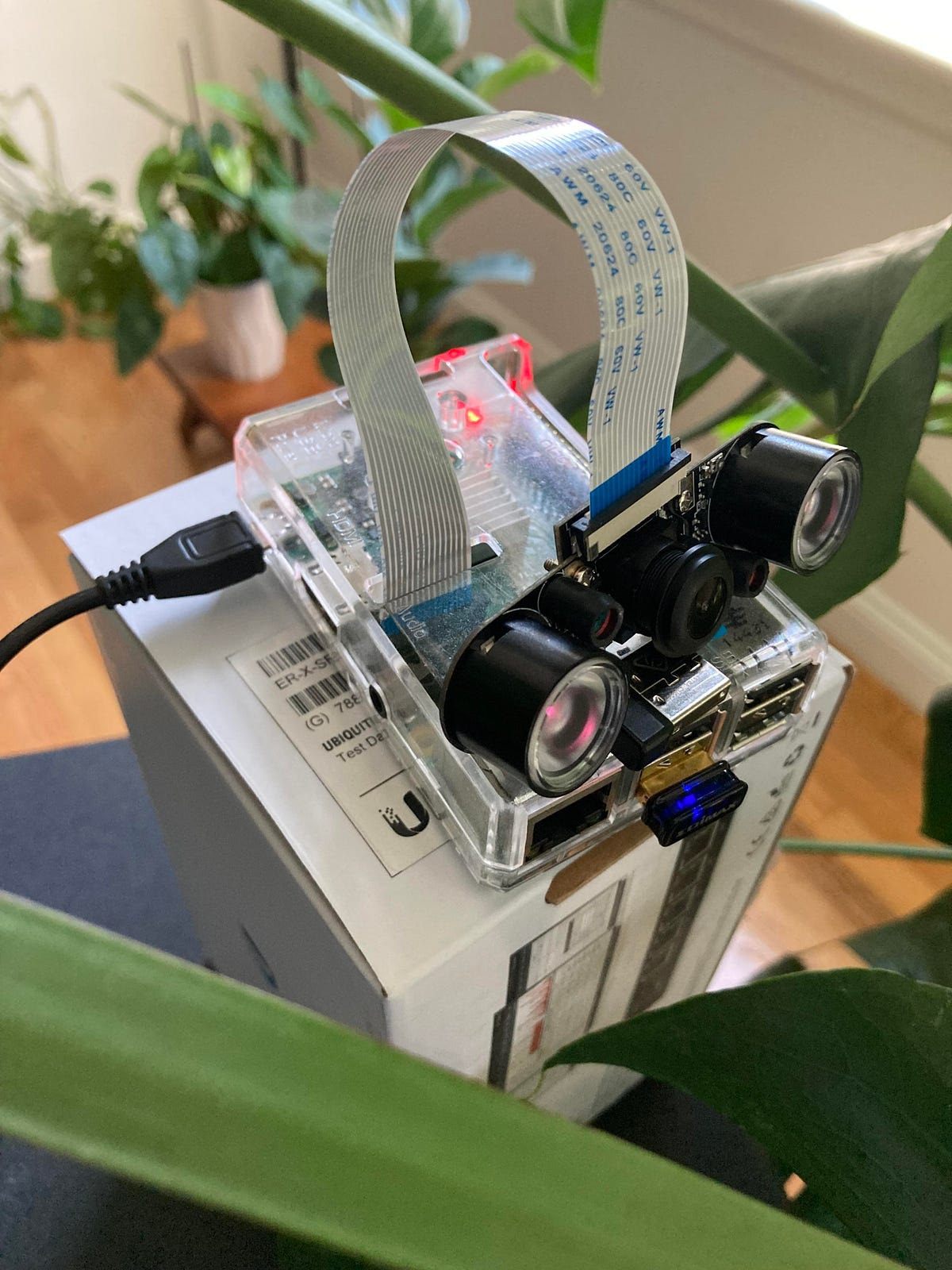 Pi(me)lapse — Creating a plant growth time lapse at home with a Raspberry Pi by mort Medium