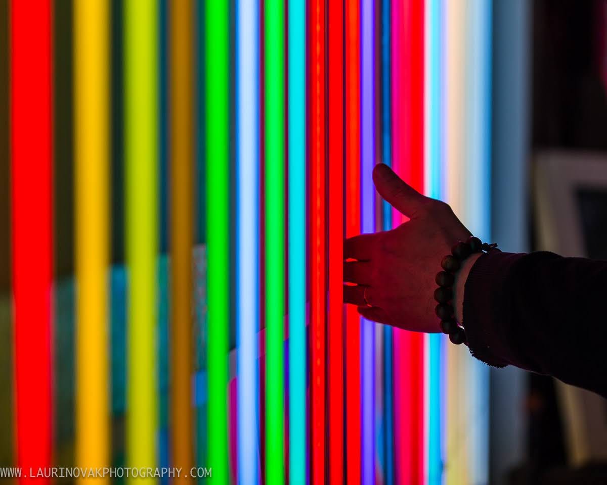 Neon Shop in Chicago — ©Lauri Novak