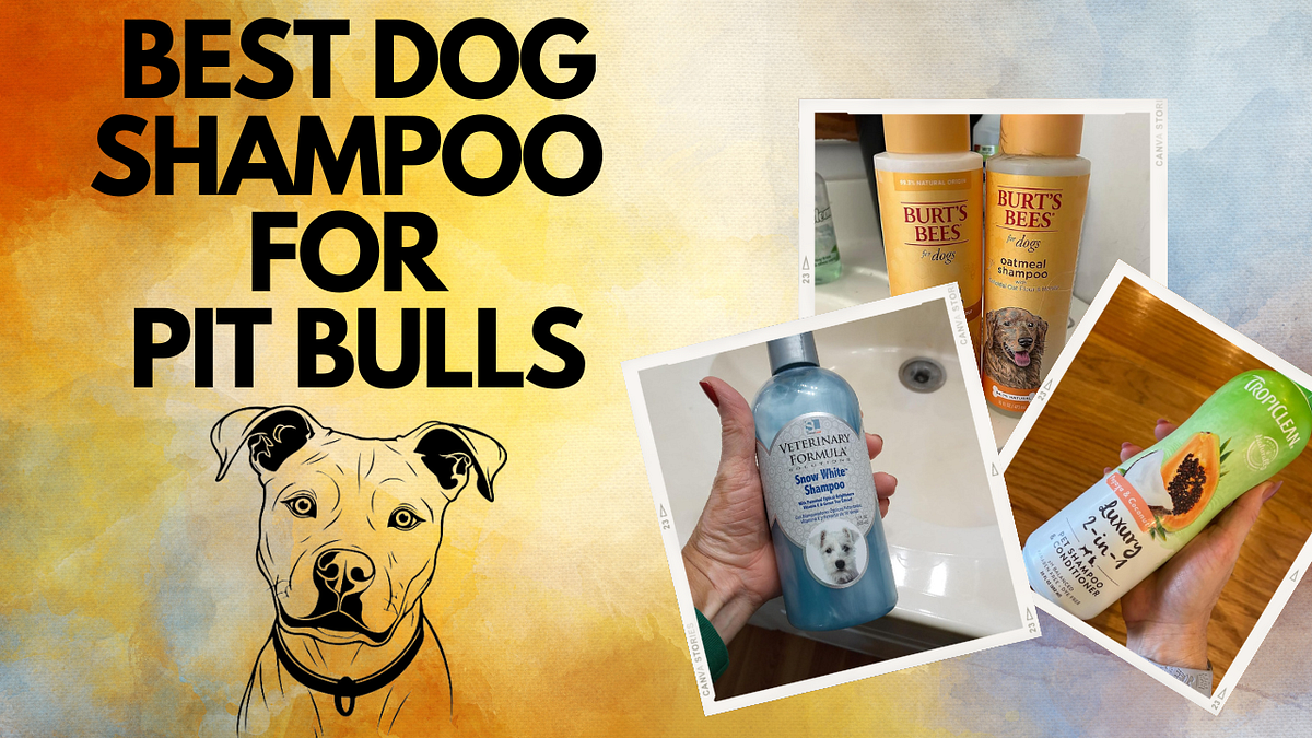 Best Shampoo And Conditioner For Pitbull Puppies at Sergio blog