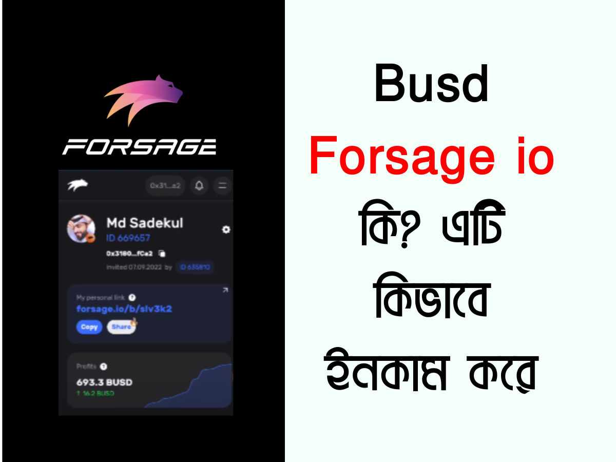 What is Busd Forsage io? How it works and earns by Nijer IT BD Medium