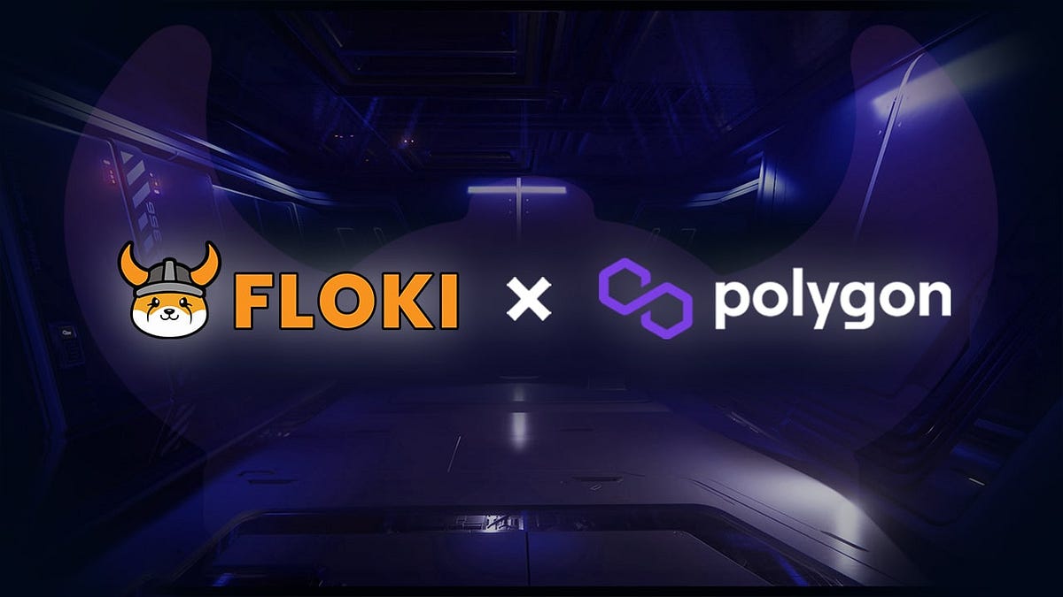 FlokiFi Locker Protocol Live on Polygon Mainnet | by FLOKI | Medium
