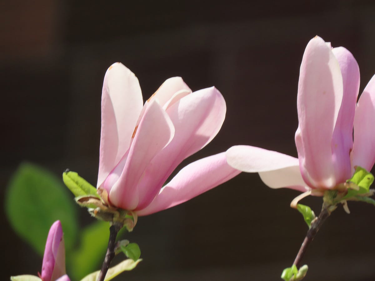 HOW TO CREATE SIMPLICITY. Once you have surveyed your… | by Dawn Ulmer ...
