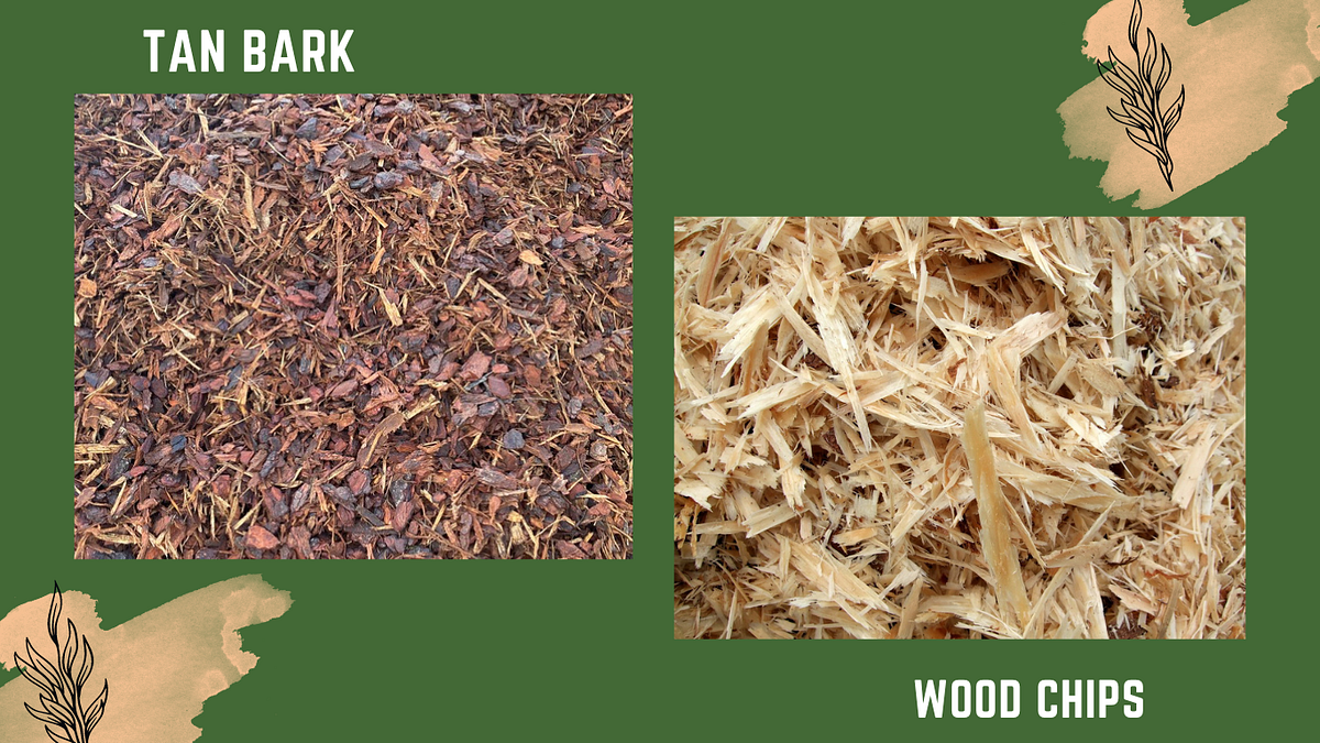 What kind of wood chips are bad for gardens by Dr Ahsanur Rahman, PHD