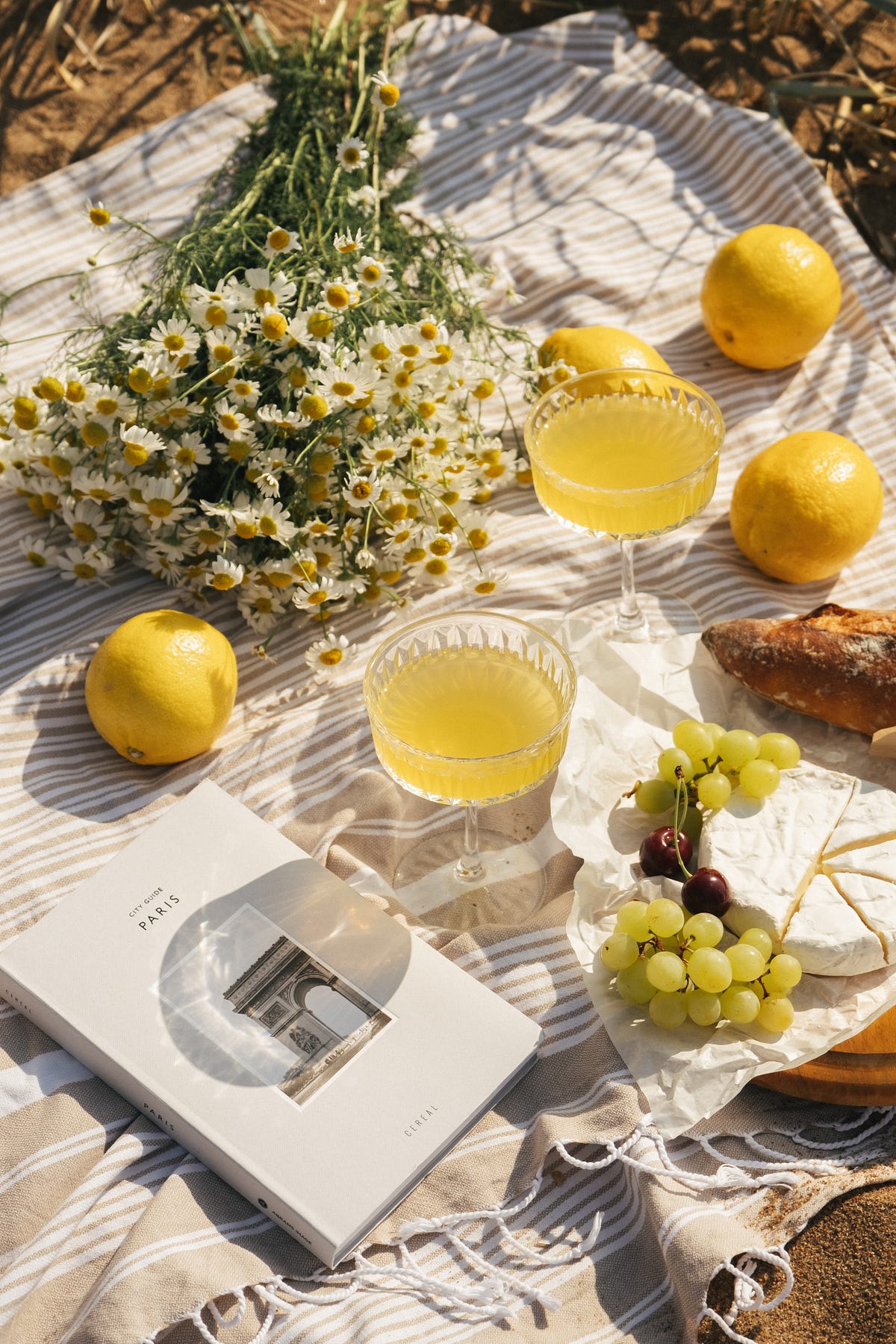 A Picnic to Remember: Choosing a Stunning Park Setting for Your Next ...
