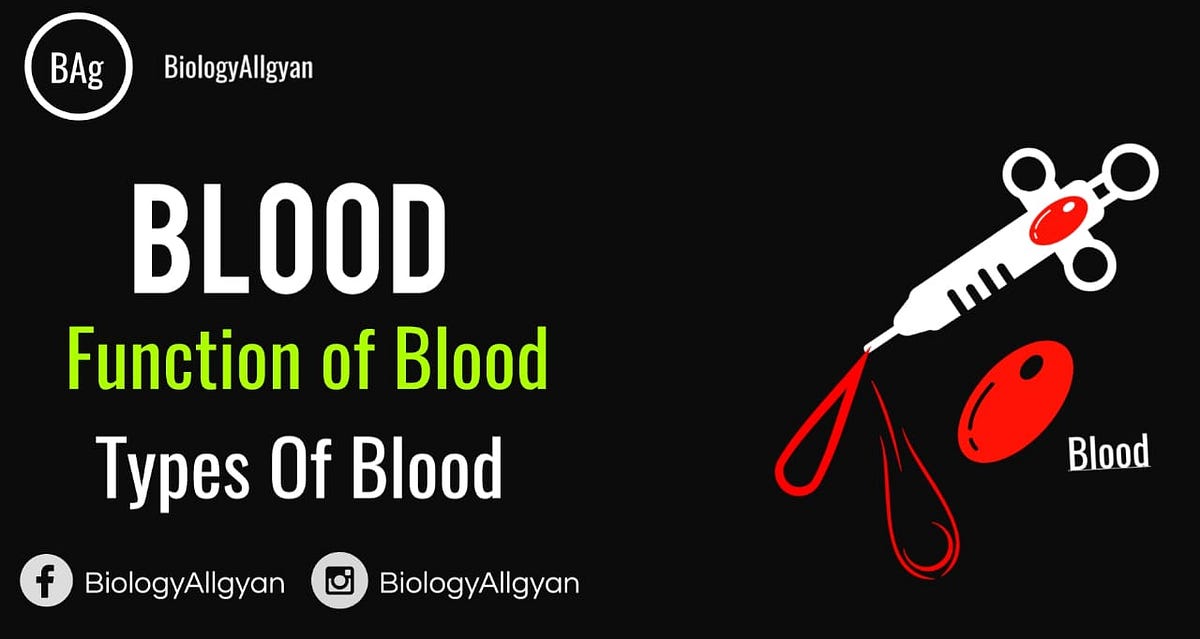 Blood And Bloods Types Vikash singh Medium