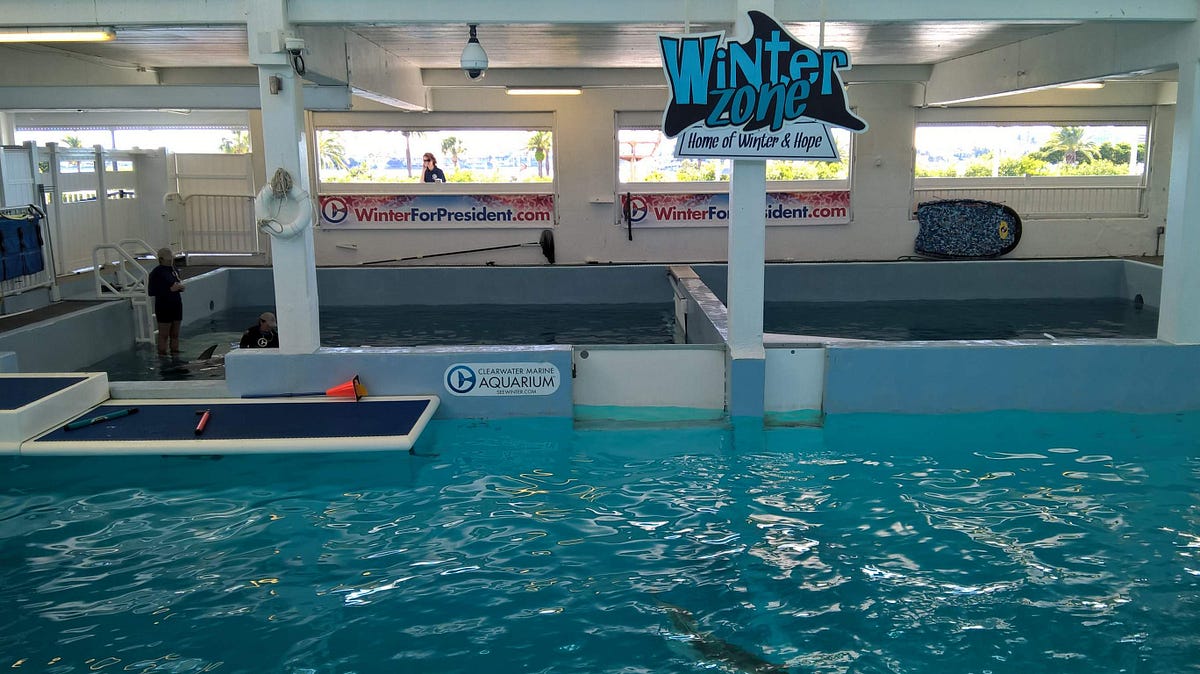 Exploring Paradise: Unveiling Clearwater, FL’s Captivating Tourist 