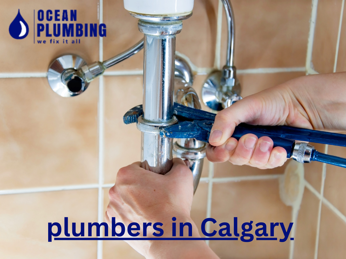 The Significance of Professional Pipes Specialists in Calgary by Officialoceanplumbing Medium