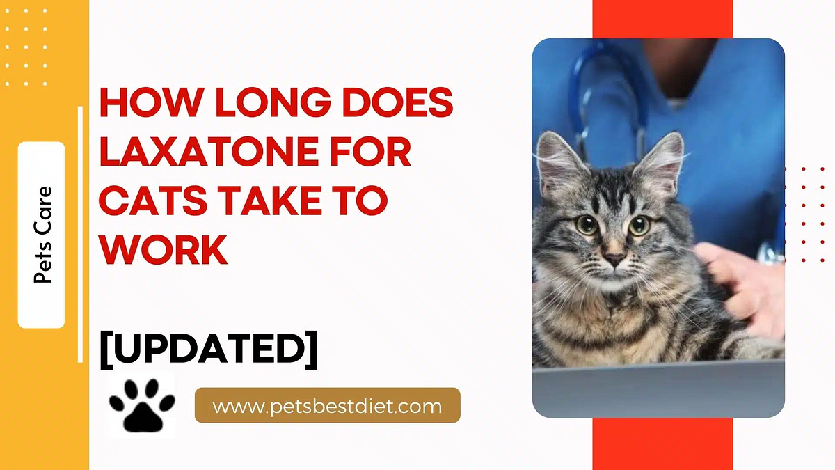 Laxatone for Cats: Quick Results Guide | by Petsbestdiet | Dec, 2023 ...