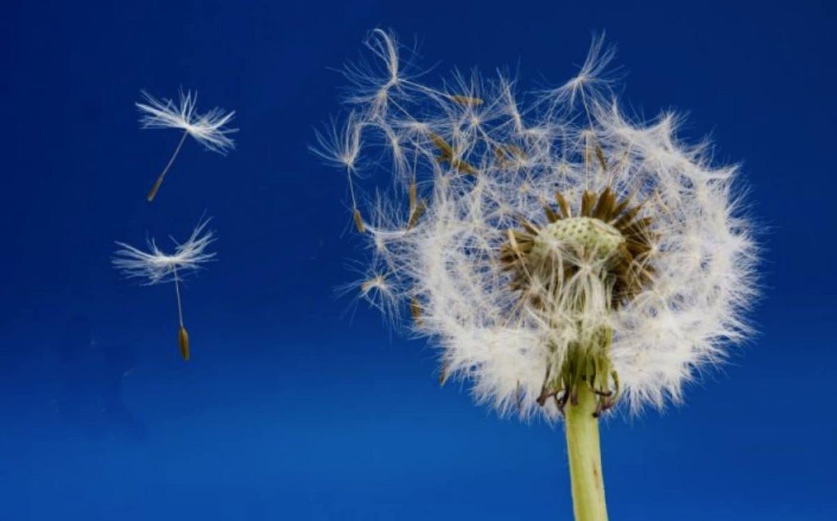 “A Season of Loss”. A thought for the day — “A Season of… by Tom Webb