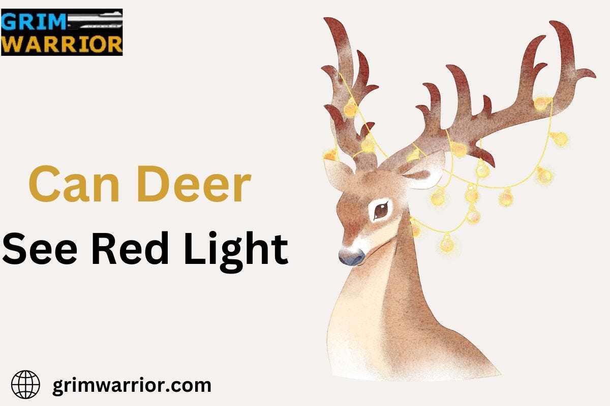 Detailed Can Deer See Red Light Wallpaper in 4K Detailed Can Deer See Red Light Wallpaper in 4K