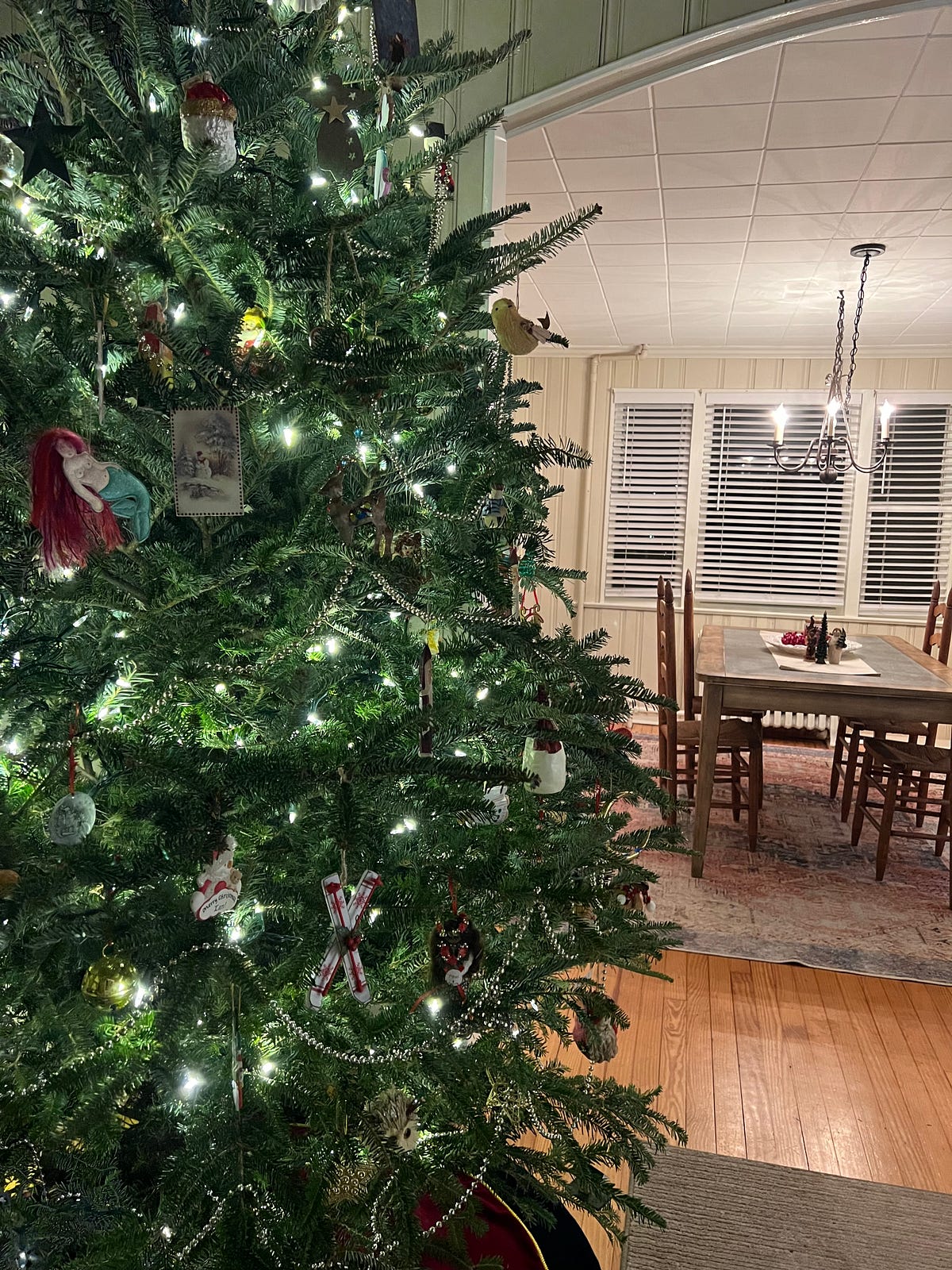 Trees have feelings. The trees have feelings too. Their… by Briana