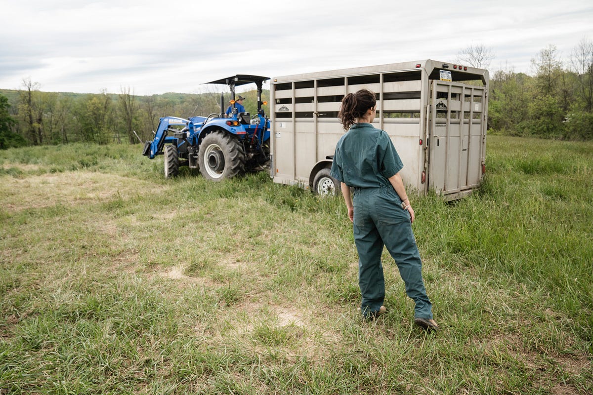 5 Homesteading Youtube Channels For The Aspiring Farmer By Jaclyn