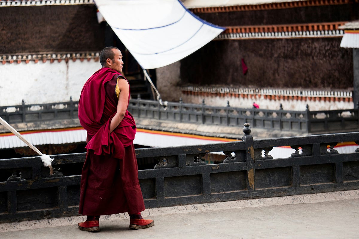 The Path of No Path. A Zen Dialogue | by Zazen | Oct, 2024 | Medium