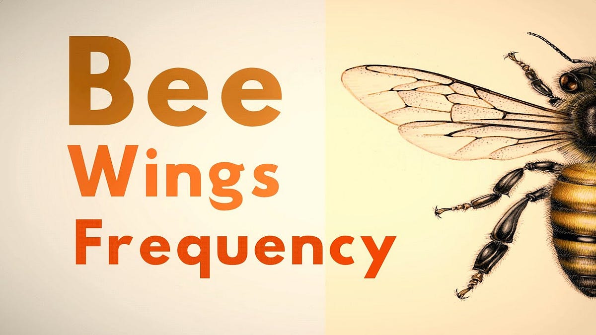 The Enigmatic Buzz: Decoding the Secret Frequencies of Bee Wings and 