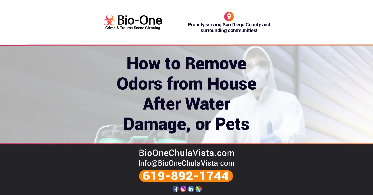 How to Remove Odors from House After Water Damage, or Pets by BioOne