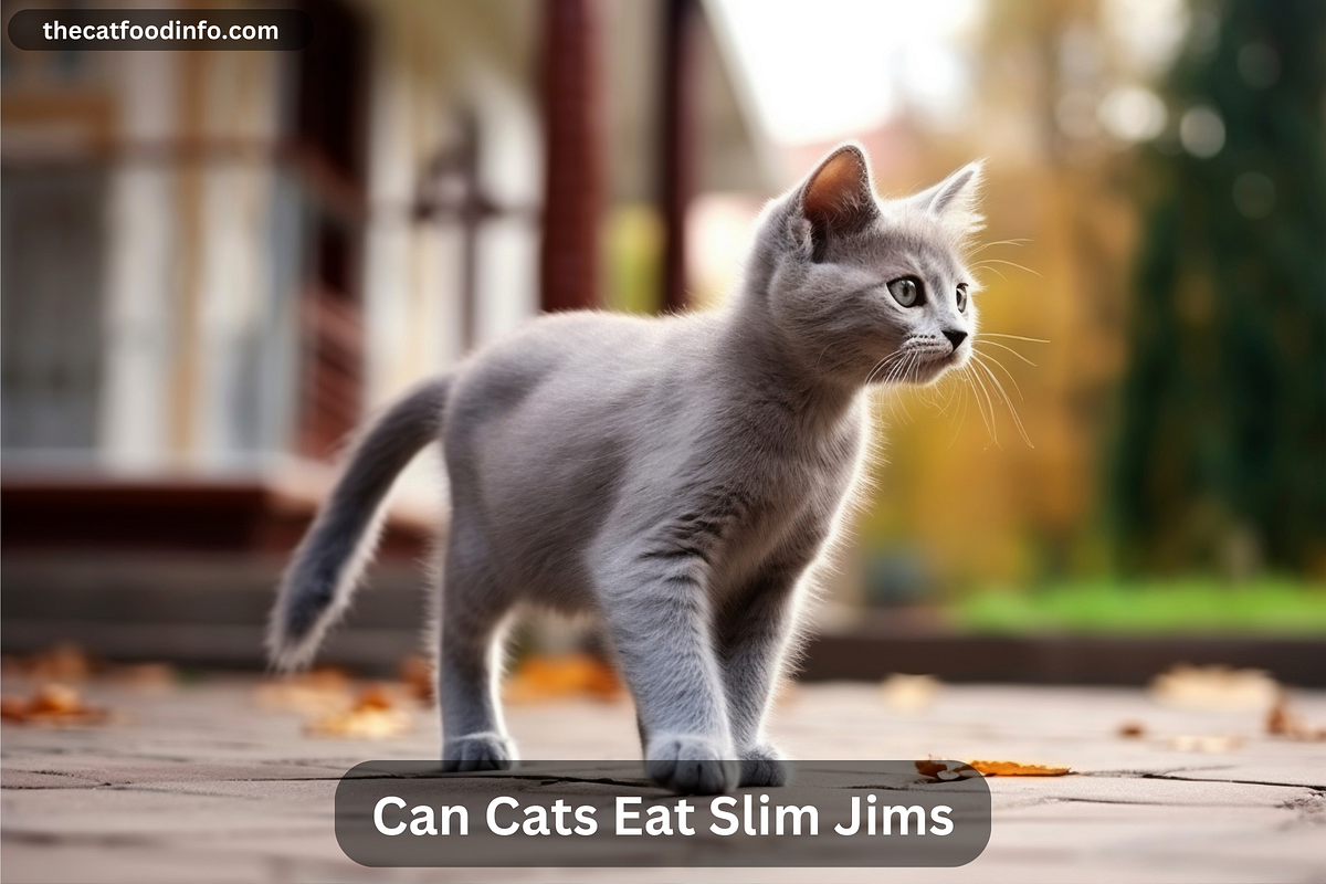 Can Cats Eat Slim Jims?. Feeding Slim Jim or similar processed… by