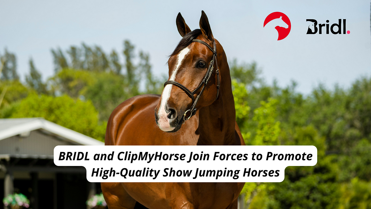 BRIDL and ClipMyHorse Join Forces to Promote High-Quality Show Jumping Horses by Marie Marks Medium