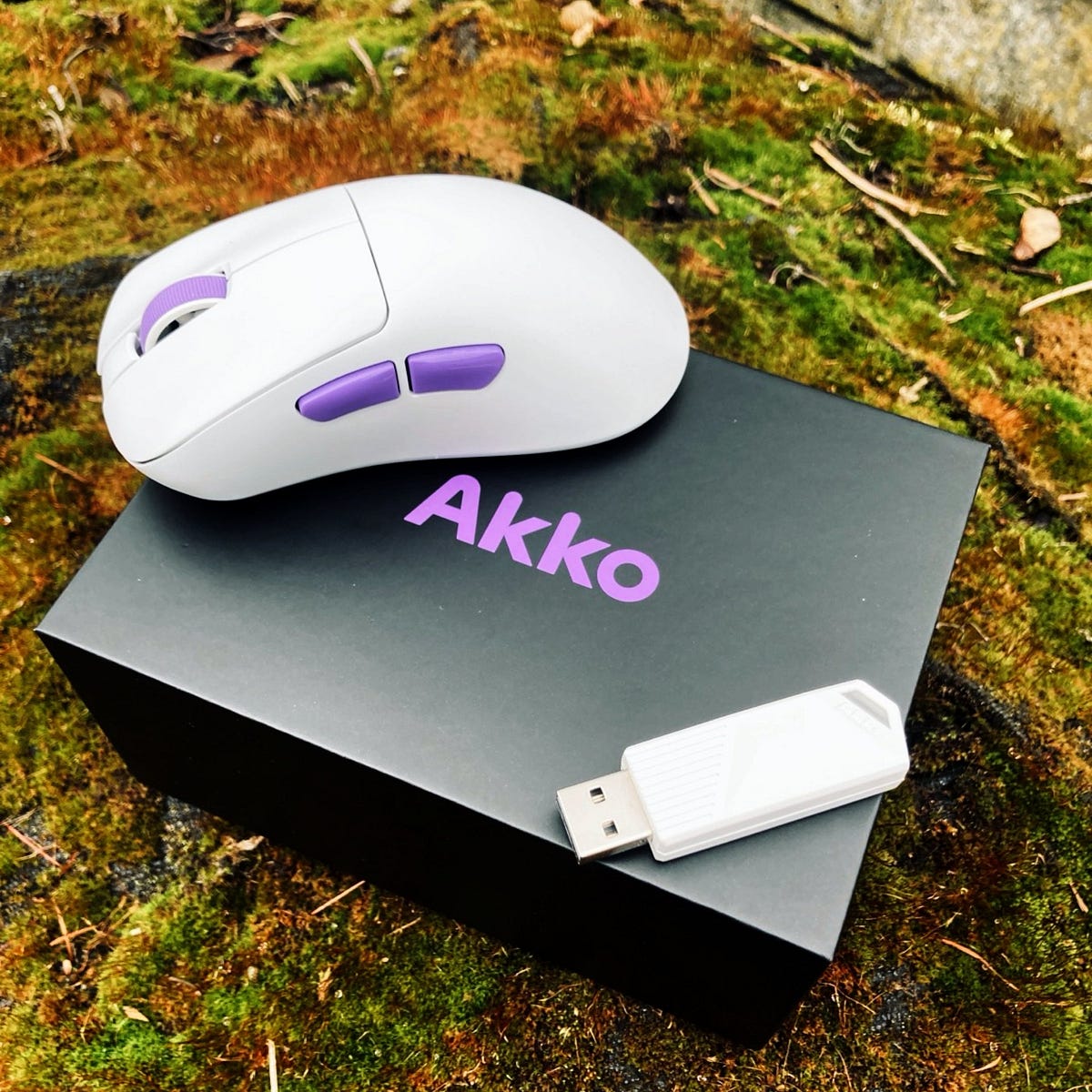 Akko Nest Review — A Safe Ergo That Plays It Too Safe | by Damian