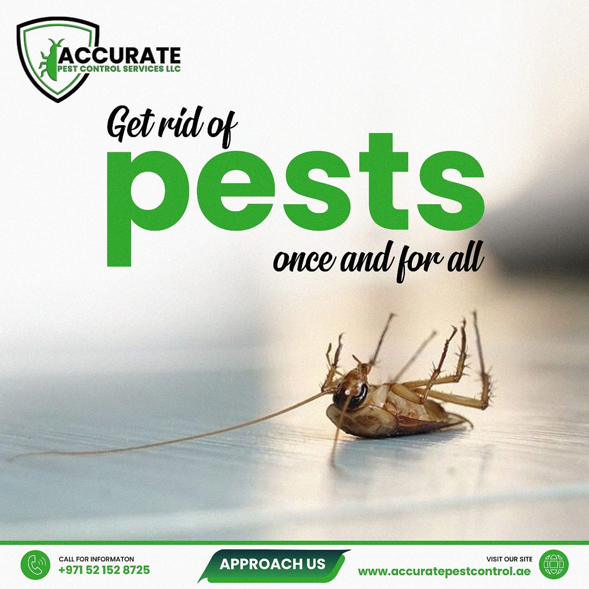 Pest Control Service Dubai. 🚫🐜 𝐒𝐚𝐲 𝐆𝐨𝐨𝐝𝐛𝐲𝐞 𝐭𝐨… by Accurate Pest