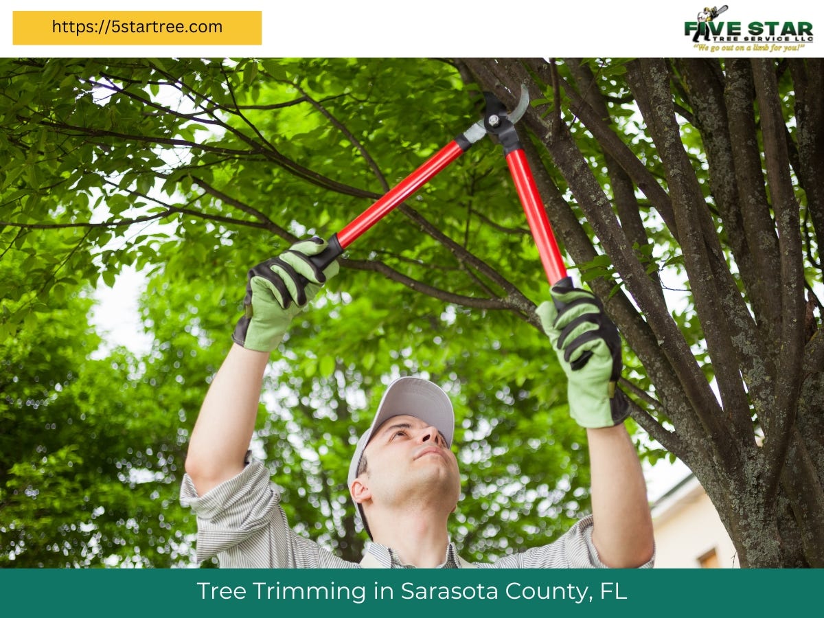 Tree Removal Service Near Me — Bradenton, Florida by Five Star Tree