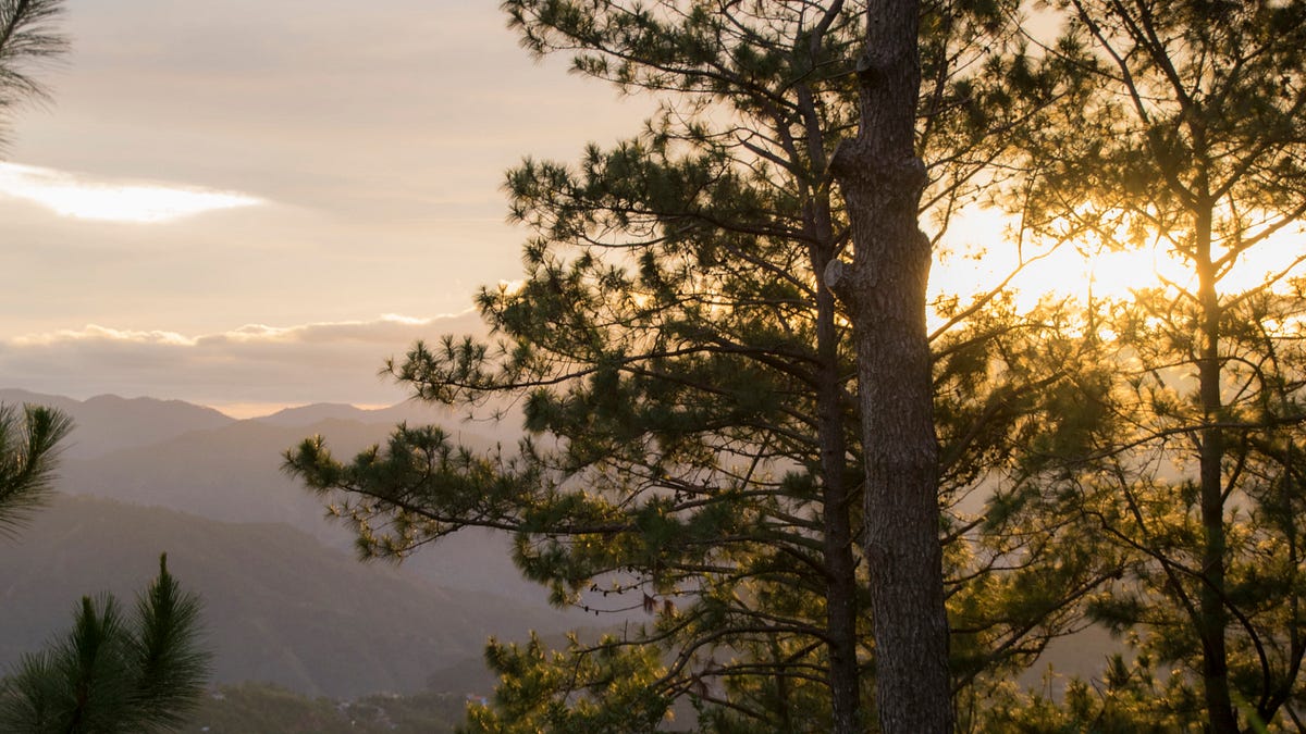 Best 5 ESL Schools in Baguio City Philippines by PH Medium