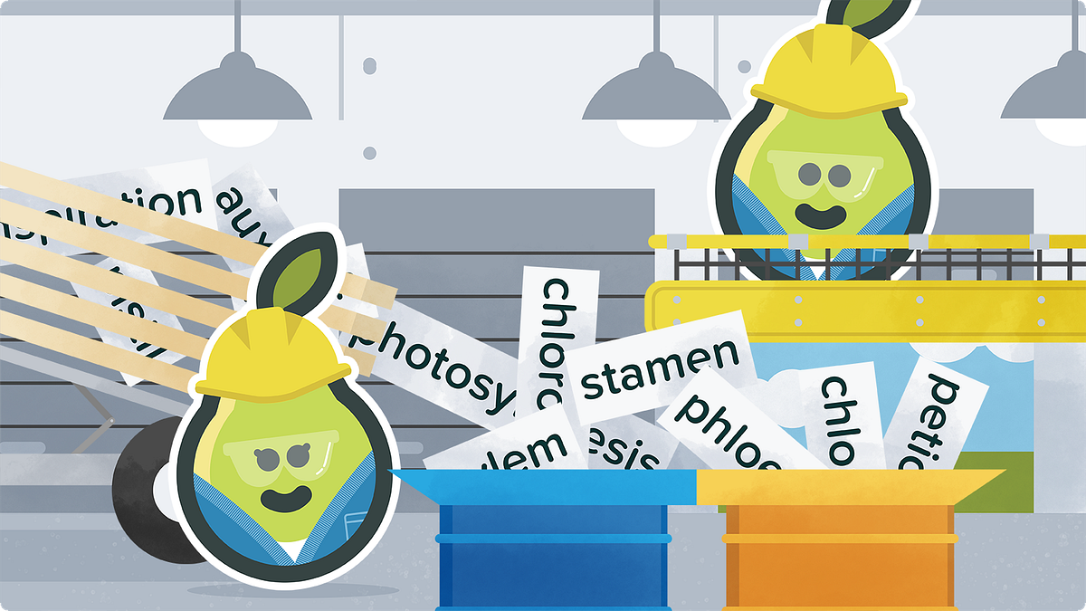 Flash Update Flashcard Factory. Often we ask students to memorize… by Pear Deck Medium