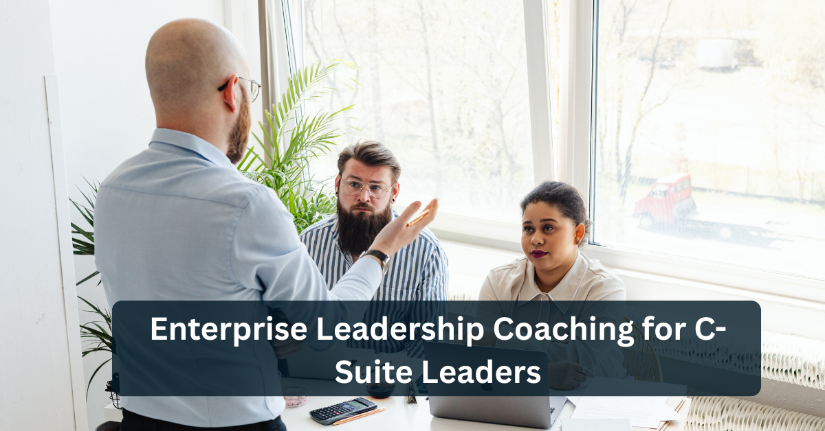 Enterprise Leadership Coaching for C-Suite Leaders