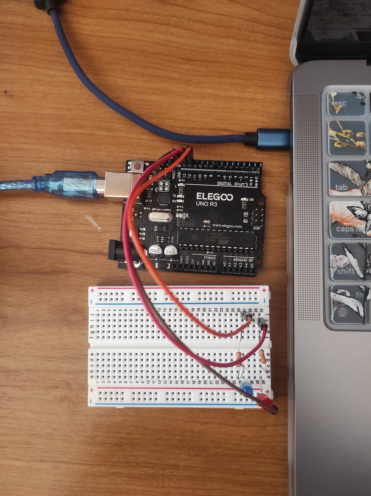Intro to Physical Computing: Arduino Simple Circuit to Blink LEDs | by ...