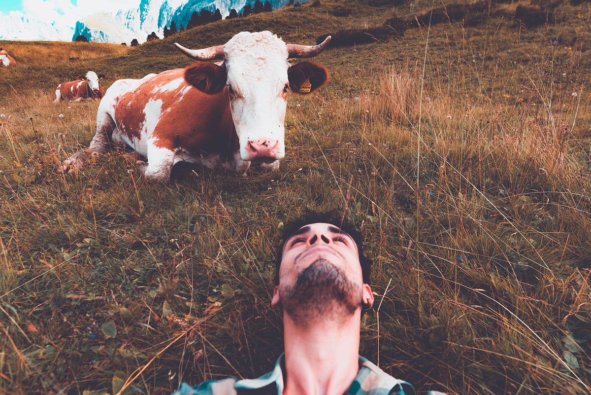 Watermelon Cantaloupe. Inspired by the “Haiku This!” Prompt… by Vince