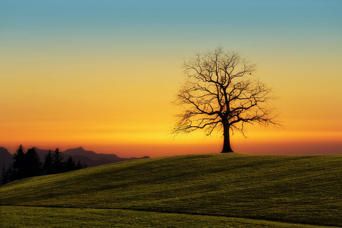 data-structures-in-python-tree-till-now-we-studied-linear-data-by