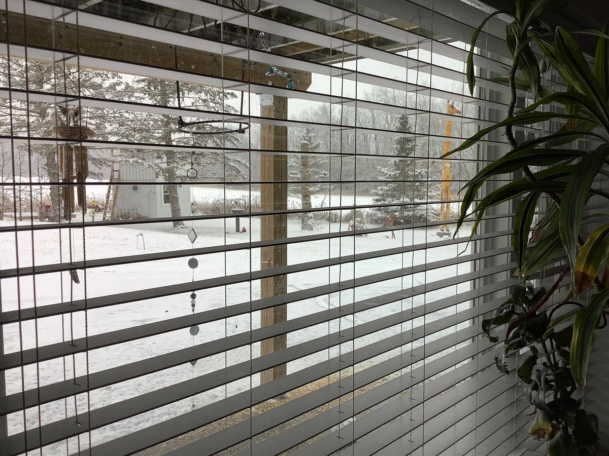 What are you afraid of?…. LOOKING OUT MY BACK WINDOW 332 by David