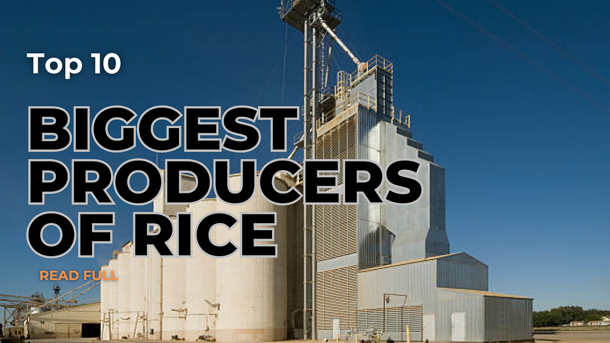 Top 10 Biggest producers of RiceBest Rice Exporters in the World by