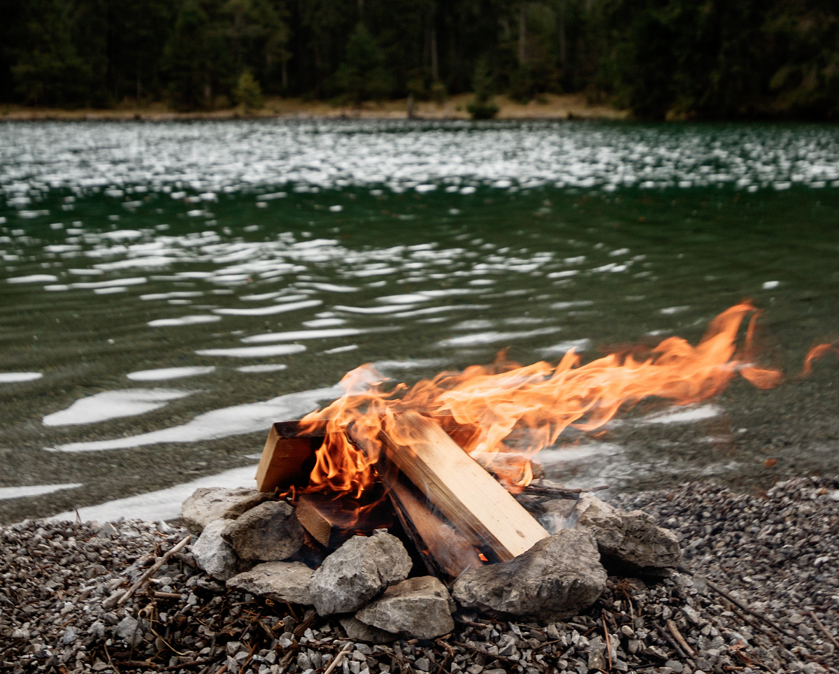 On Phoenixing and Letting Go. As the seasons change, we change. Our ...