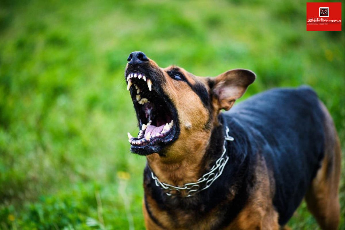 Is Dog Bite Coverage Included in Homeowners Insurance? by Law Offices