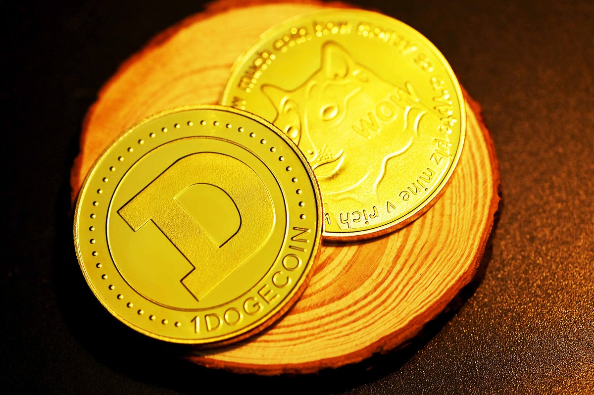 Are Shiba Inu (SHIB) and Dogecoin (DOGE) A Good Investment in August