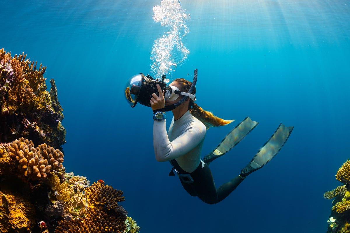 A guide to Scuba diving. Oh yes, I am trying to convince you to… by