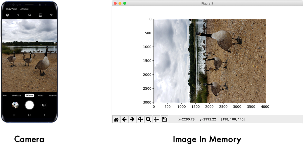 The dumb reason your fancy Computer Vision app isn’t working: Exif Orientation