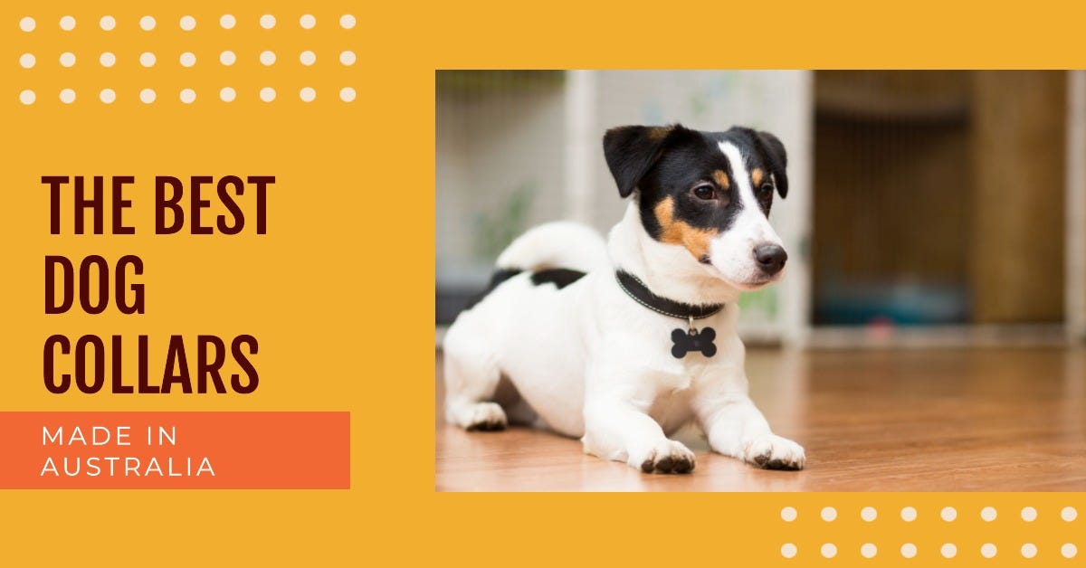 Discover the Reasons Why Dog Collars Made in Australia Are the Best