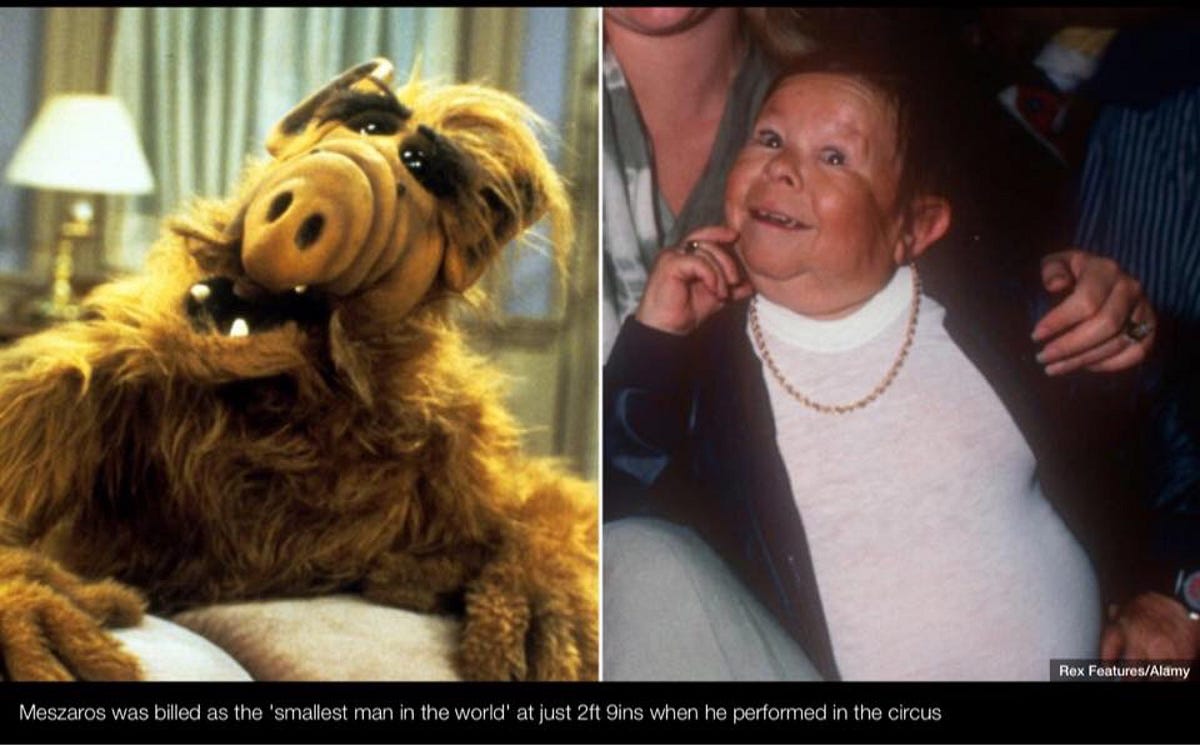 михай месарош. пол фаско альф. михай месарош. альф линн таннер. альф михай миху месарош.