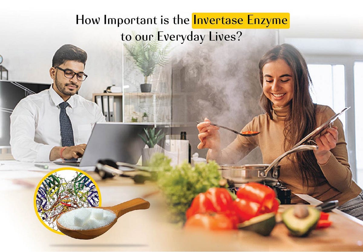 How Important is the Invertase Enzyme to Our Everyday lives? by